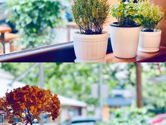 -AFS Cafe & Canteen(闽江二路店)