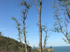 -青松大叔的店(东财店)