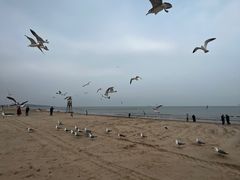 -那香海钻石沙滩浴场