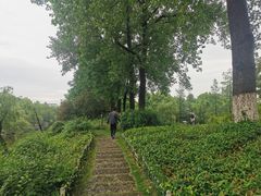-日出青木·杭帮菜名店