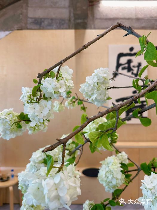 麻雀咖啡SPARROW COFFEE(十全街店)图片