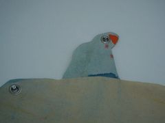 -胶囊画廊