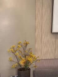 -美壹生皮肤管理中心