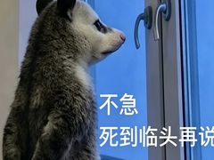 -上海K11购物艺术中心