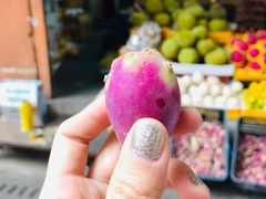 -三亚新鸿港水果一级批发市场