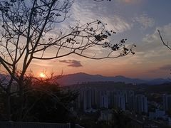 -福道