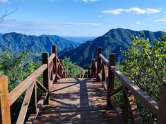 -大岭沟猕猴桃谷风景区