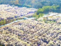 -江苏三台山国家森林公园