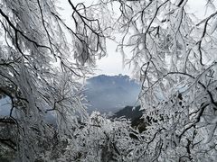 -洛阳白云山景区