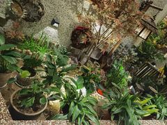 -白氏兄弟烧烤(尹家沟店)