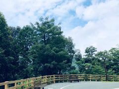 -阳台山森林公园
