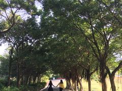 -东部华侨城
