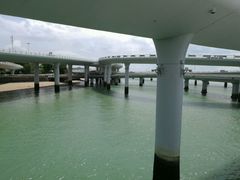 -演武大桥观景平台