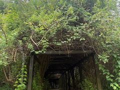 -福田红树林生态公园