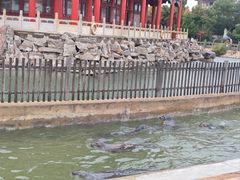 -八仙过海景区