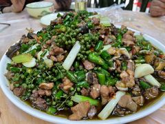 -铁山坪森林公园