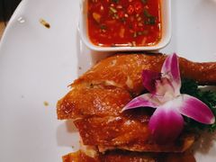 -新白鹿餐厅(百联中环店)