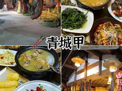 -青城甲(青城山店)