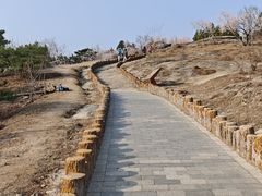 -白水寺森林公园