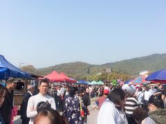 -龙寺生态园