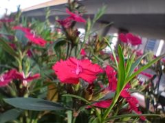 -艾溪湖湿地公园