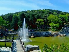 -北京西山国家森林公园