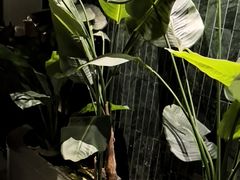 -涟LIAN·泰式按摩·MASSAGE·SPA(华强北店)