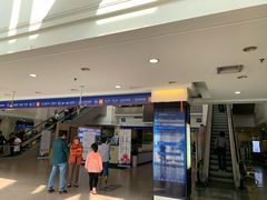 -上海市东方医院(总院)