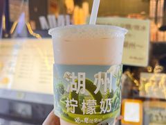 -猫的魔法密林(衣裳街店)