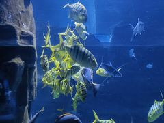 -长春中泰海洋世界
