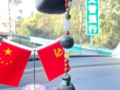 -天猫养车贴膜轻改·蓝电(优匹康桥东路店)