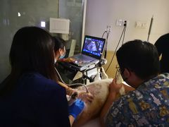 -爱侣宠医·鹦鹉专科·小型哺乳类·异宠专科(灵石路店)