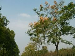 -亿安达驾校(总校)