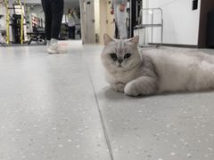 -M.S拳击泰拳馆(大学路店)