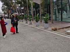 -三圣花乡旅游区