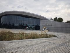 -漩门湾国家湿地公园