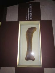 -世界恐龙谷