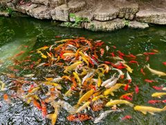 -南通洲际绿博园