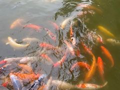 -珠海圆明新园