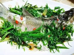 -大班家政月嫂育儿嫂(深圳NO.1店)