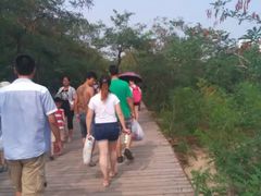 -南戴河旅游度假区