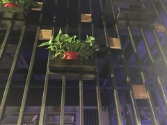 -美滋滋尚鱼烤鱼餐厅(空港店)