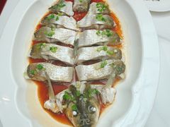 -鱼痴渔醉·食鲜集(青山江滩店)