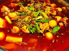 -宽口美蛙鱼头(大唐西市店)