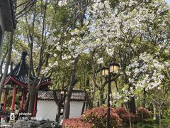 -南汇桃花村