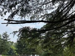 -花溪公园