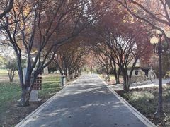 -石家庄市植物园