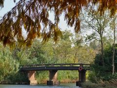 -溱湖国家湿地公园