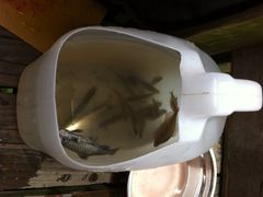iphone_upload_pic-新江湾城公园