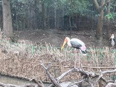 -上海野生动物园